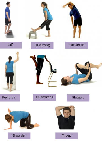 Static Stretches - Cranfold Physio